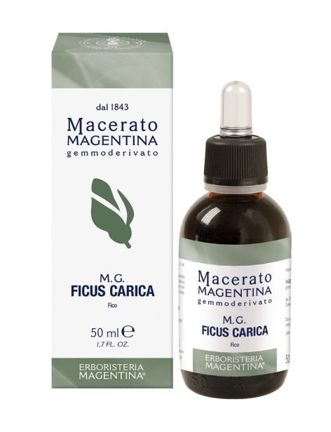 Macerato Ficus Carica