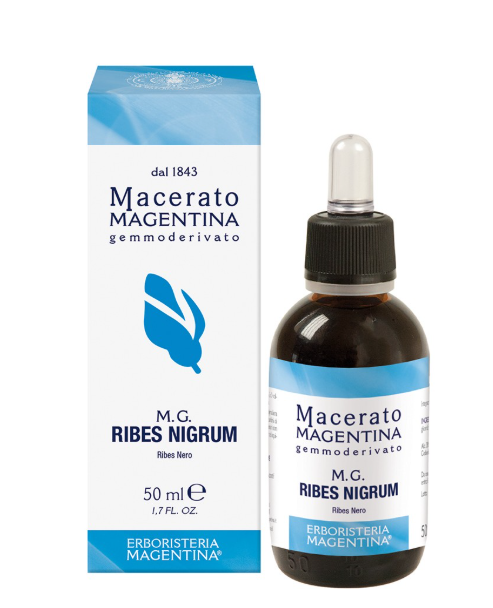 Macerato Ribes Nigrum